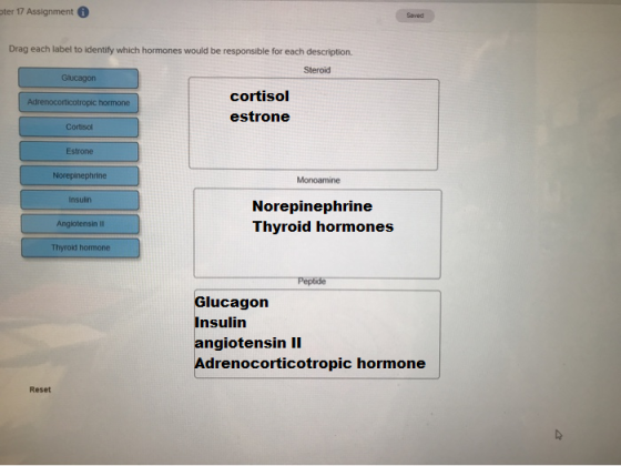 pter 17 Assignment Saved Drag each label to identify which hormones would be responsible for each description. Steroid Glucag