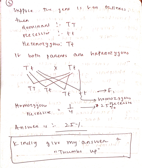 suppose the gene is hon tallness. TT dominant recessive att 226 Herenorygous: Tt . If both parents are heterozygous Ti Tu ANT