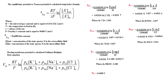 The equilibrium potential or Nernest potential is calculated using below formula 1X96485 310 1X96485 30 out = 0.02526 X-3.657