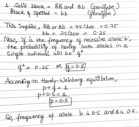 ^ Solid black- BB and Bb gendype Black Spatted bb eDolype Nouo recessive allele b probab t inole indivual il e ,0.5 to ardy