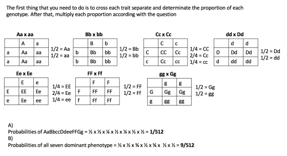 The first thing that you need to do is to cross each trait separate and determinate the proportion of each genotype. After th