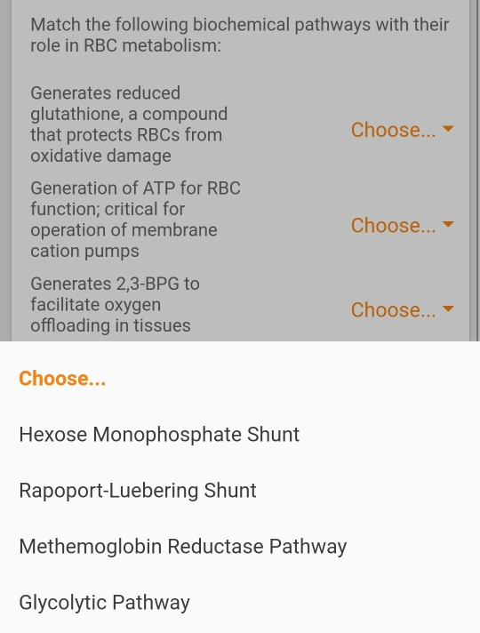 Match the following biochemical pathways with their role in RBC metabolism: Choose... Generates reduced glutathione, a compou
