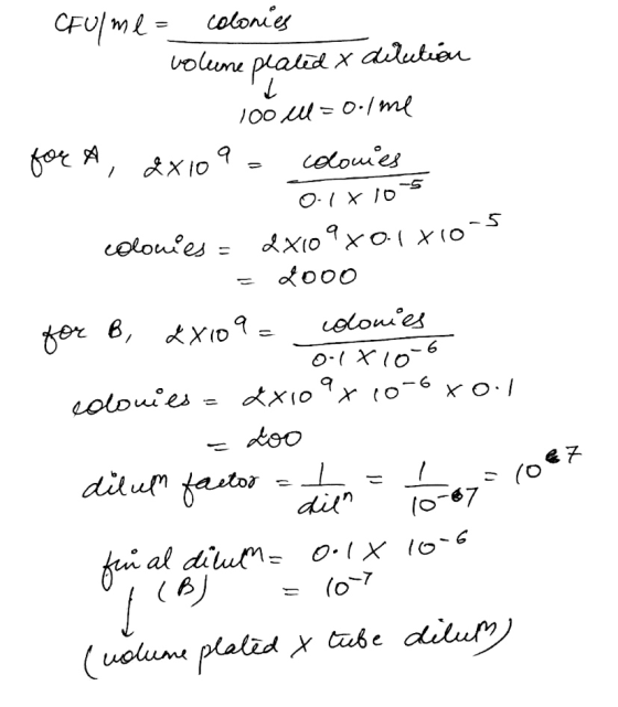 CFU/ mer colonies volume pealed x dilution 100 u=0./me for A, 2X10 9 = colonies 01x107 colonies = 2x109xo1x10-5 = dooo for B,