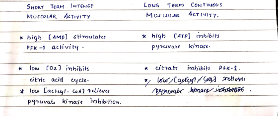 SHORT TERM INTENSE MUSCULAR ACTIVITY LONG TERM CONTINUOUS MUSCULAR ACTIVITY. * high (AMP) stimulates PFK -1 activity - * high