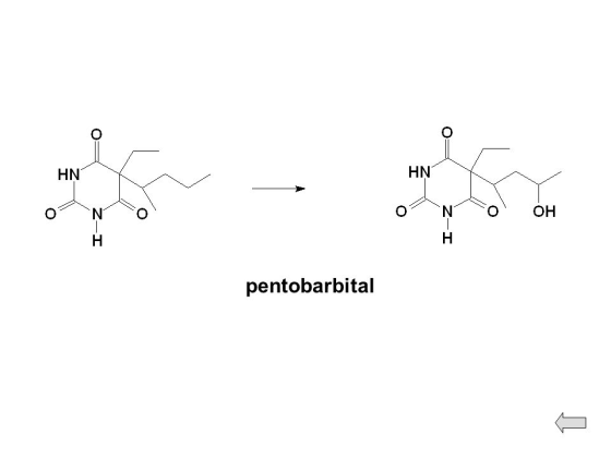 OF HN HN NO OH o Z-I pentobarbital