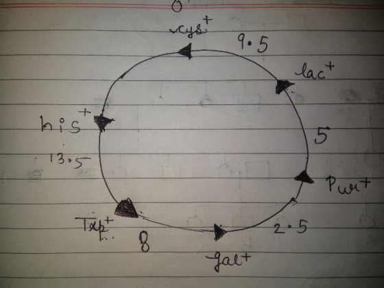 دهید 9.5 lact hist 3.5 2.5 galt
