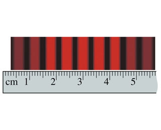 Image for The figure below shows the light intensity on a screen 2.7m behind a double slit. The wavelength of the lighti