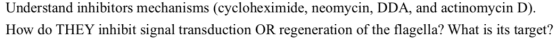 Understand inhibitors mechanisms (cycloheximide, neomycin, DDA, and actinomycin D). How do THEY inhibit signal transduction O