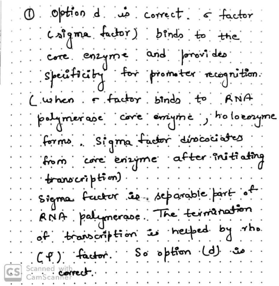 O option d es correct:factor isigma factor) : binds to the :: core enzyme and provides :specificity for promoter recognition.