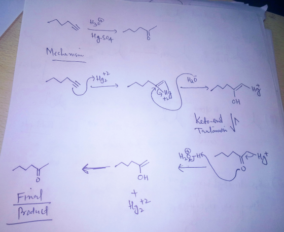 Hg. 504 Mechanism H₂O OH Keto-ent In Taulimesin V Hey hey m phyto En estan molts хv Final Product