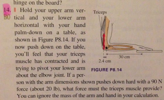 Image for Hold your upper arm vertical and your lower arm horizontal with your hand palm-down on a table, as shown in th