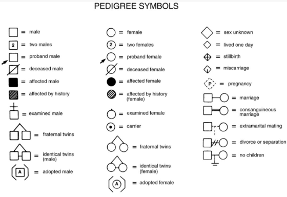 PEDIGREE SYMBOLS = male = female = sex unknown = two males = two females = lived one day IIII = proband male = proband female