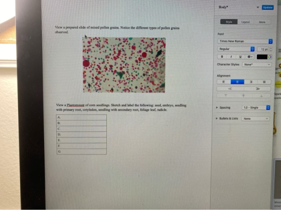 Body Update Style More View a prepared slide of mixed pollen grains. Notice the different types of pollen grains observed Fon