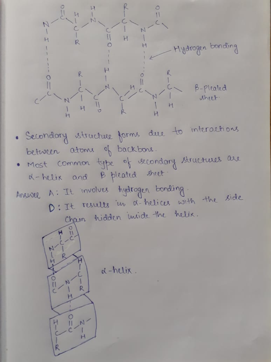 I-Z da u Z- C IN - I 0 I------O Hydrogen bonding --- I----o I - - u Z J du - I B-Pleated sheet z NIC エー工 I Secondary structur