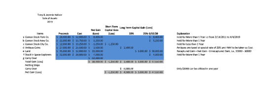 Tony & Jeannie Nelson Sale of Assets 2019 Short Term Long Term Capital Gain (Loss) Net Gain Capital Gain Items Proceeds Cost