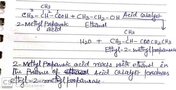 СН3 CH3-C1-COOH + CH3 -CH2-0.1 Acid catalyst 2-Methyl poebanxéc E thanol - CH₂ H20_+ CH2-CH-COO CH2 CH3 -.-..Ettayl-2-betty l