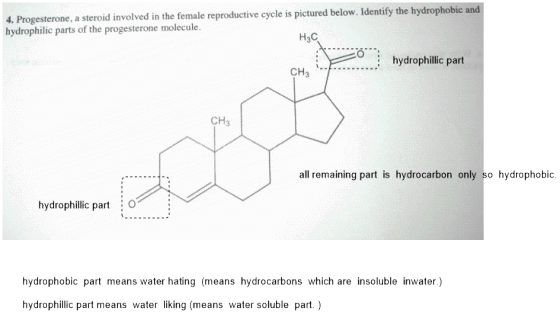 jired below. ldentify the hydrophobic and 4. Progeste hydrophie ca rGa hydrophillic part aining part is hydrocarbon only o hy