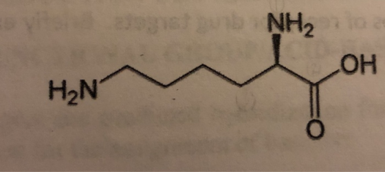V NH2 OH H2N