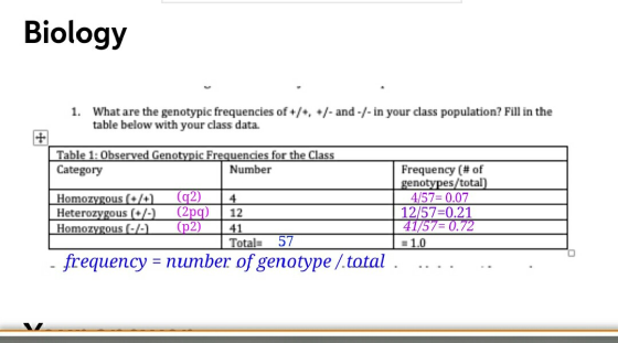 Biology 1. What are the genotypic frequencies of +/+, +/-and-/- in your class population? Fill in the table below with your c