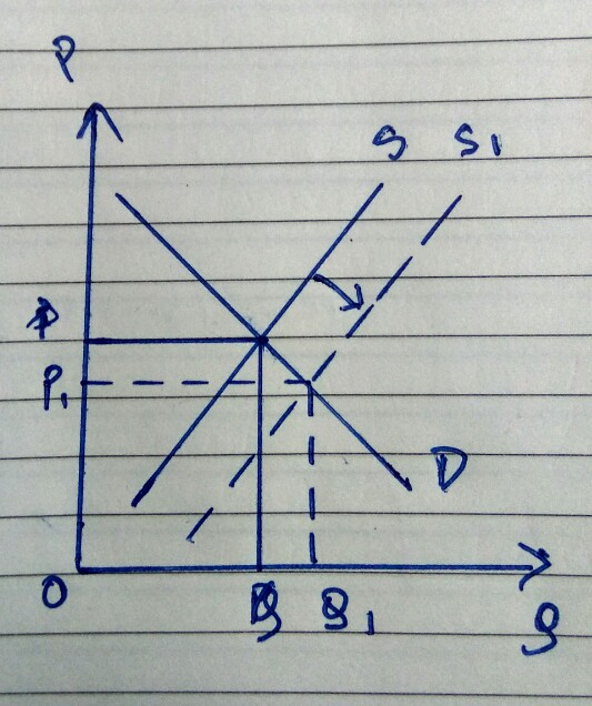 VN