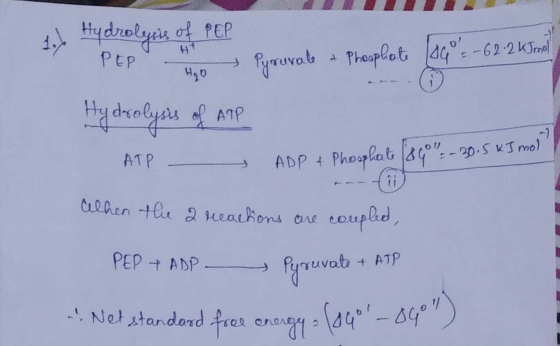 1. Hydrolysis of PEP P o Pyruvate & Phosphate 10 - 62.2 kJmol. Hydrolysis of APP ATP ADP + Phosphate (80 - 30.5 kJ mol elhe