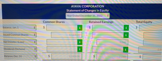 AYAYAI CORPORATION Statement of Changes in Equity Year Ended December 31, 2022 Common Shares Retained Earnings $ $ Total Equi