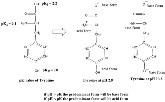 OH PK1 - 2.2 o base form 9 base form O= C O= C 0=( PK,9.1 HN—CH CH HINCH acid form H2N- base form CH2 CH2 CH2 CH С. HC SCH нс