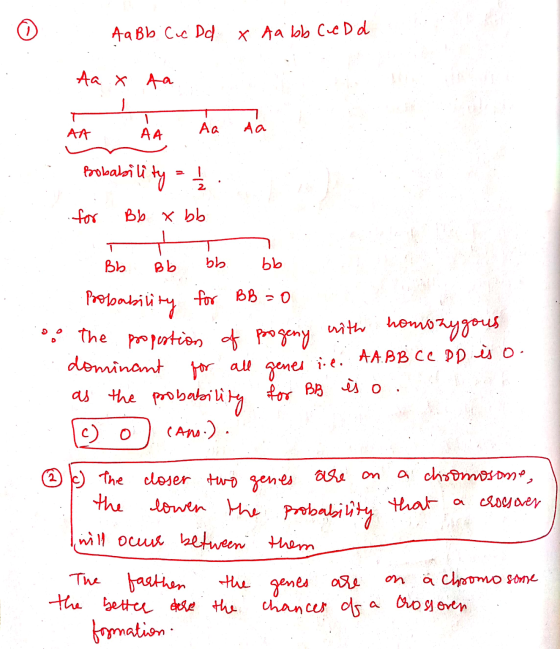 Aa Bb Ccc Dd X Aabb Cue D d Aa x Aa - Aa Aa AA AA Bobabili oility = 1/2 for Bb x bb Bb ob bb. bb Probability o . The propesti