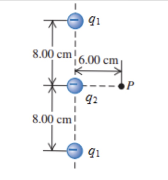 8.00 cm 6.00 cm 42 8.00 cml 41