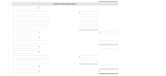 Liabilities and Shareholders Equity