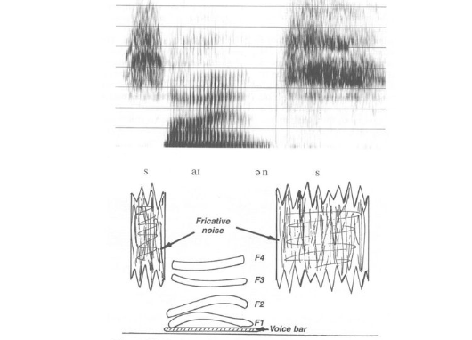 ai o n Fricative F4 F3 F2 F1 Voice bar