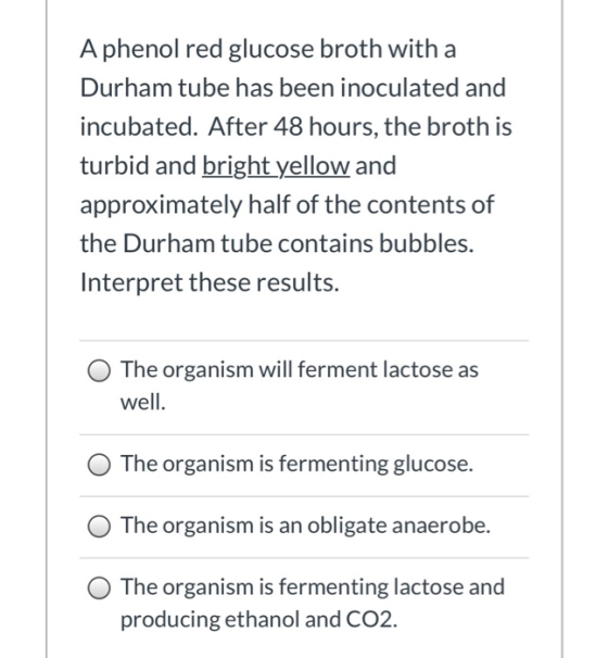 A phenol red glucose broth with a Durham tube has been inoculated and incubated. After 48 hours, the broth is turbid and brig