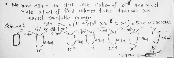 • We need dilute the stock with dilution of 10- and must O plate o.1 ml of final diluted tubes than we can expect countable C