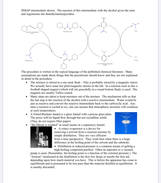 DMAP intermediate shown. The reaction of this intermediate with the alcohol gives the ester and regenerates the dimethylamino