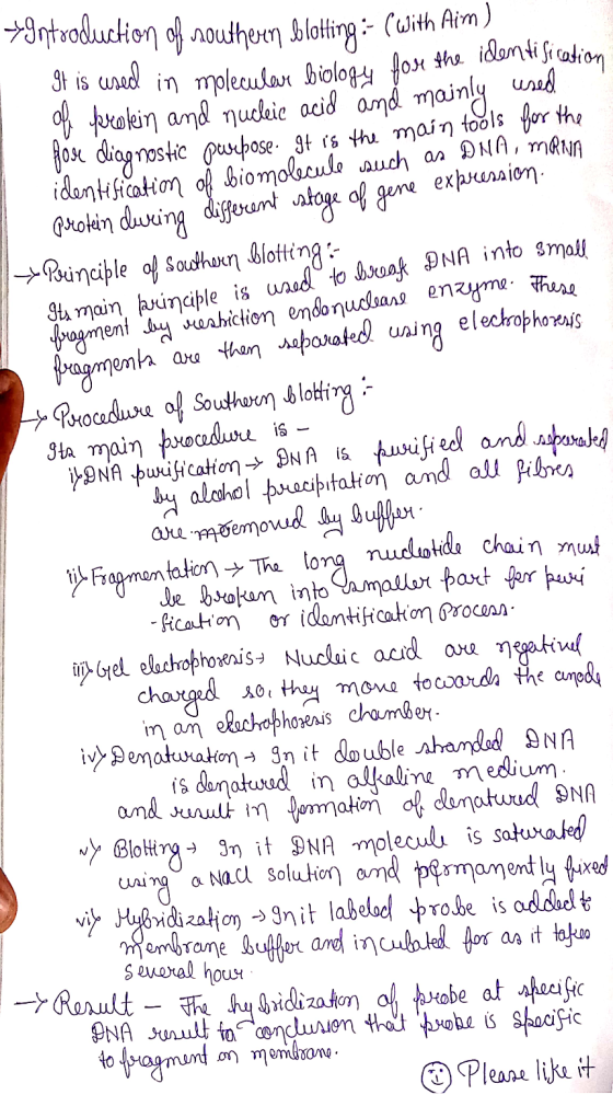 yIntroduction of southern blotting :- (With Aim) It is used in molecular biology lose the identification for: of protein and