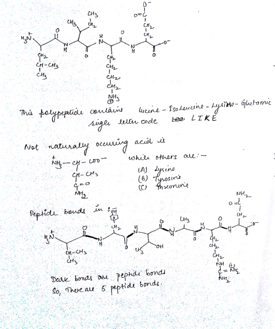 CH3 CH3 H CH2 CH2 This polypeptidi contaus lucine - Iso Leucine - Lysine - Glutamic suger letter code Lesp LIKE OS Not natura