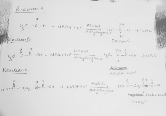 Reaction A OH hc C-H + NADH tue Alcohol dehydrogenad. -H + NADT H Allreaction ß Ethanol Lactate OH 0 the-c-&-OH ANADHTH = deh