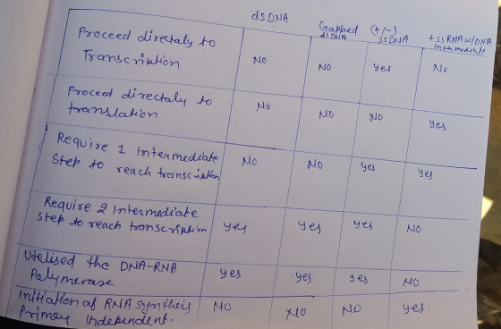 dsDNA Gabaed (41-2 Proceed directaly to Transcription SSDNA + SS RNA W/ONA Intermediate NO NO yes No Proceed directaly to tra