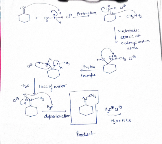0:84 co co Protonation HC-N-4 N - H n + CH₃NH2 + Nucleophilic attack at Carlonyl carton - atom -CH₂ Go o H-a Proten bansfer -