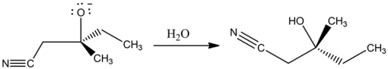 ::
HO
N
CH3
N=0—
CH, _H20
CH3
и
сн,
NEC
