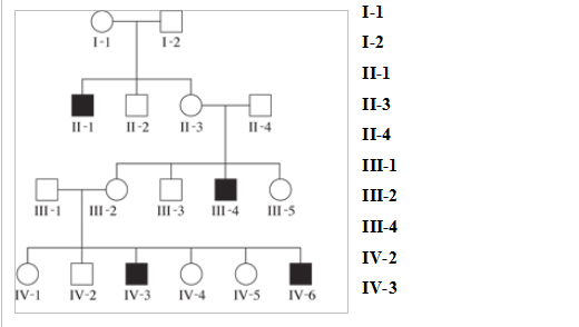 I-1 1-2 1-2 II-1 II-2 II-3 11-4 II-1 II-3 II-4 III-1 III-2 III-4 IV-2 IV-3 III-1 III-2 III-3 III-4 III-5 ο IV-1 IV-2 IV-3 IV-