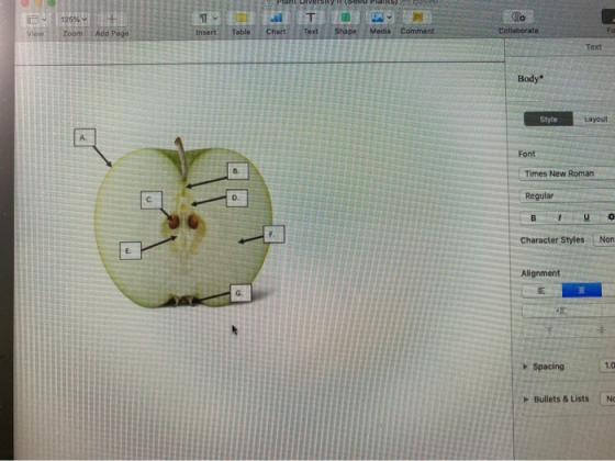 in ver Ibero 125% View Zoom Insert Add Page Table Chart Text Shape Media Comment Fa Collaborate Text Body Style Layout A Font