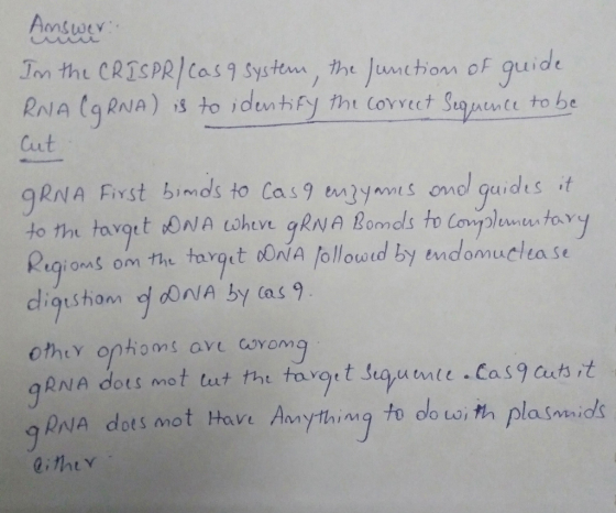 Answer: Im the CRISPR/Cas 9 system, the junction of guide Rava CRNA) is to identify the correct Sequence to be Cut ORNA Firs