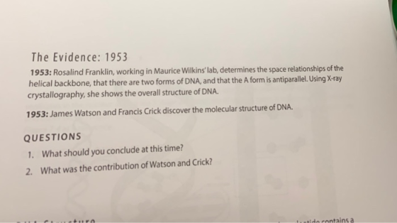 The Evidence: 1953 1953: Rosalind Franklin, working in Maurice Wilkinslab, determines the space relationships of the helical