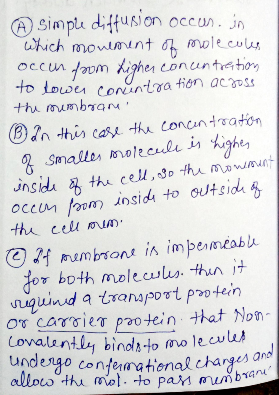 ⓗsinnpu diffusion occun. Jn to Lo wer corntra tien acyos γγίιγ p20tein that Non- nol Lovalently bind- ecul