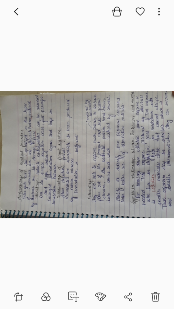 duienduantage of hind gut femasteu Then quta are mammals e pelialyed D h typu are lets by dacteria efficuent Proten prokduced