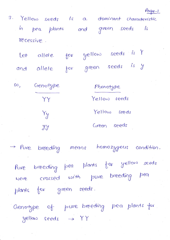 3. is Yellow in pea recessive seeds plants a and Page- dominant characteristic green seeds is let and allele allele for for y
