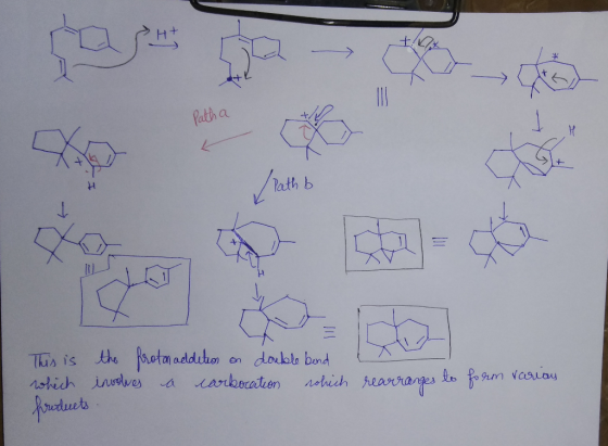 Path b This is the proton addition on double bond which involves a carbocation rohich products. L rearranges to form varias
