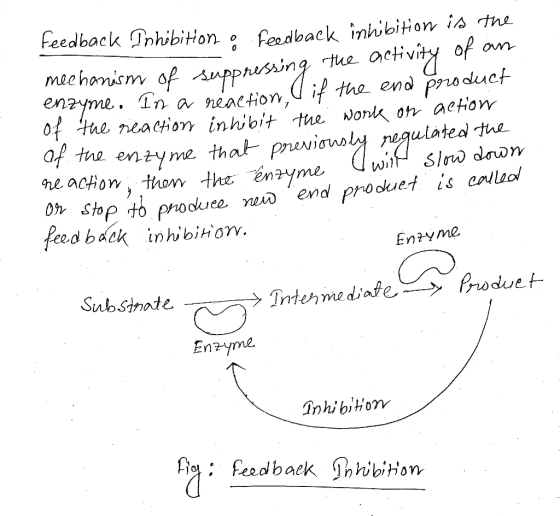 the Feedback Inhibition o Feedback inhibition mechanism of suppressing the activity of an nzyme. In a réaction, if the end pr