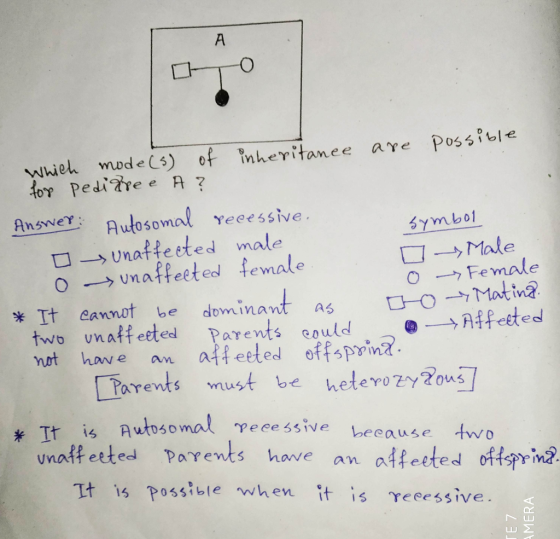 mode (s) of Which are possible inheritance for pedire e A ? Answer: Autosomal recessive. symbol o unaffected male o Male - un